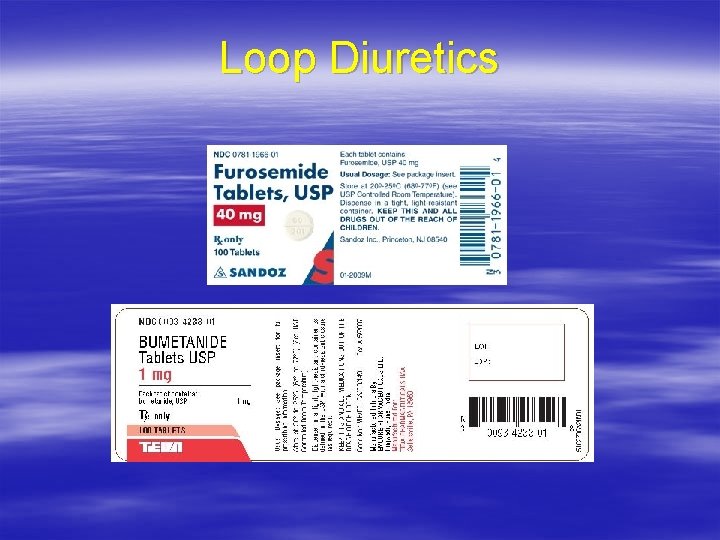 Loop Diuretics 