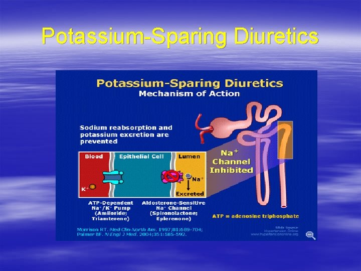 Potassium-Sparing Diuretics 