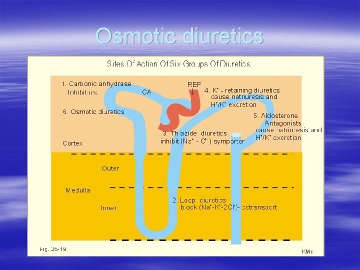 Osmotic diuretics 