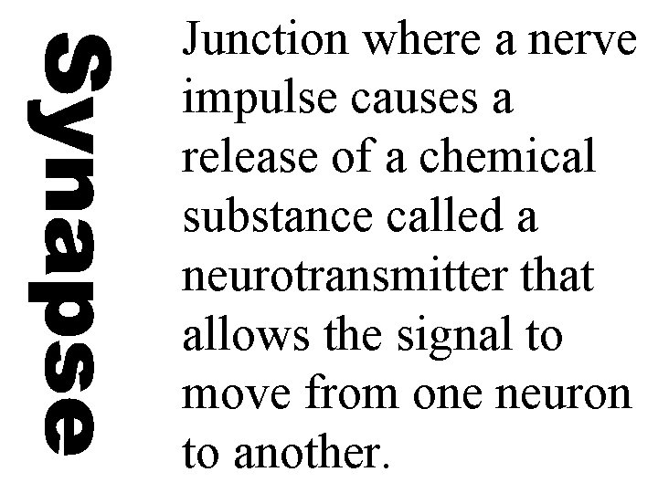 Junction where a nerve impulse causes a release of a chemical substance called a