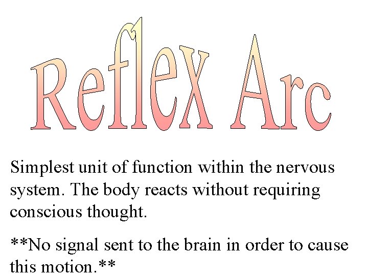 Simplest unit of function within the nervous system. The body reacts without requiring conscious Simplest unit of function within the nervous system. The body reacts without requiring conscious