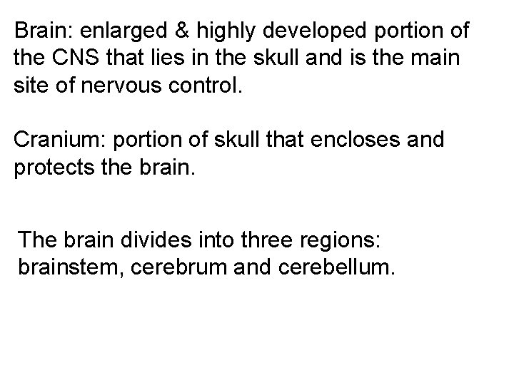 Brain: enlarged & highly developed portion of the CNS that lies in the skull