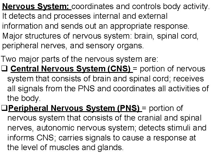 Nervous System: coordinates and controls body activity. It detects and processes internal and external