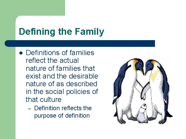 Defining the Family l Definitions of families reflect the actual nature of families that