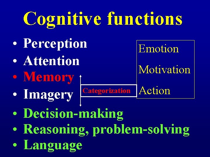 Cognitive functions • • Perception Emotion Attention Motivation Memory Categorization Action Imagery Decision-making Reasoning,