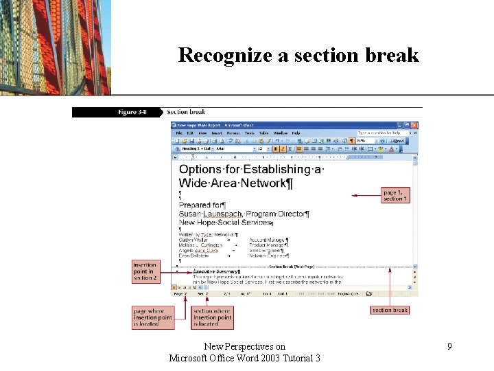 Recognize a section break New Perspectives on Microsoft Office Word 2003 Tutorial 3 XP