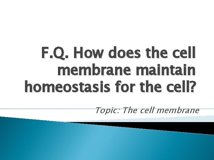 F. Q. How does the cell membrane maintain homeostasis for the cell? Topic: The