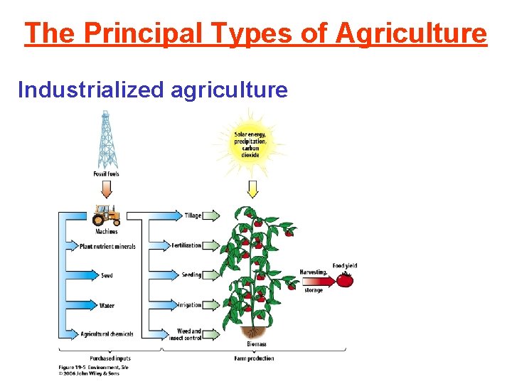 The Principal Types of Agriculture Industrialized agriculture 