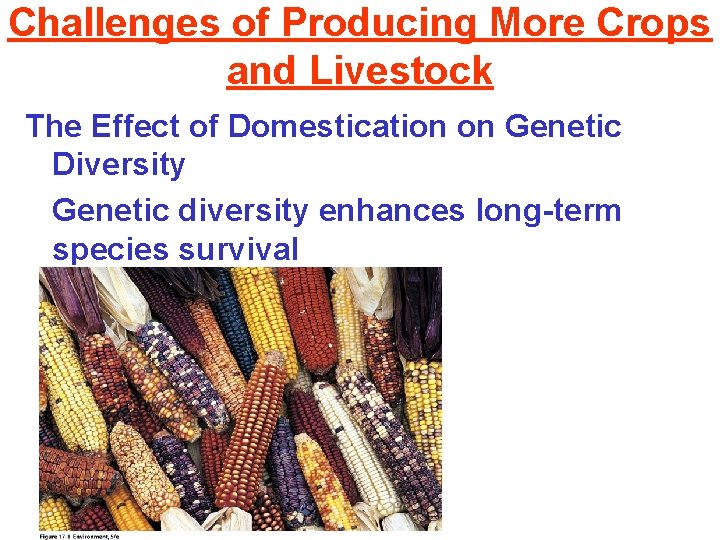 Challenges of Producing More Crops and Livestock The Effect of Domestication on Genetic Diversity