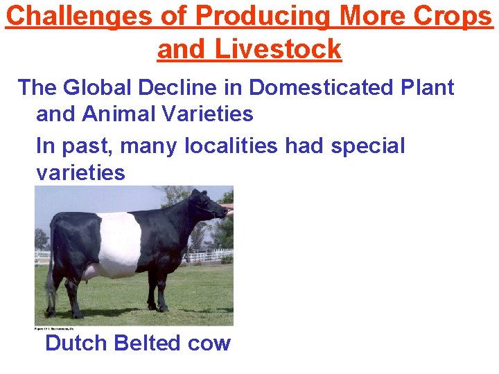 Challenges of Producing More Crops and Livestock The Global Decline in Domesticated Plant and