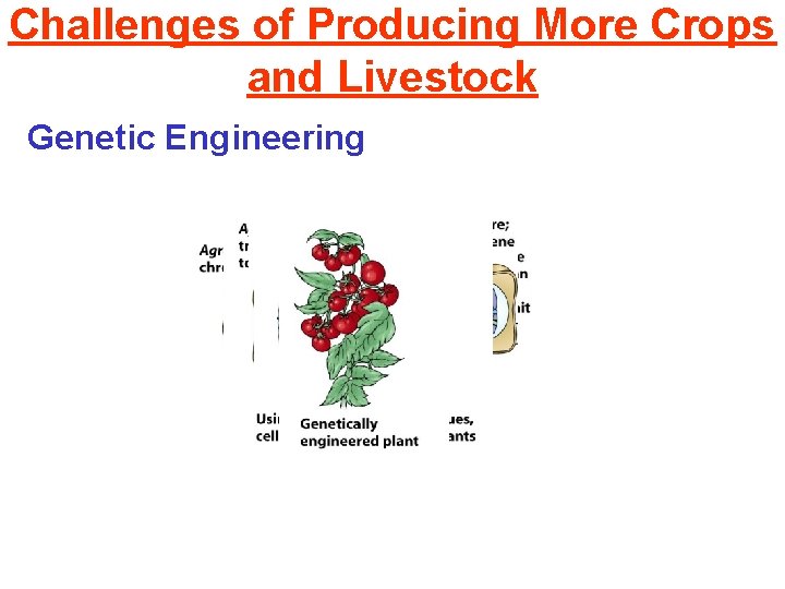 Challenges of Producing More Crops and Livestock Genetic Engineering 