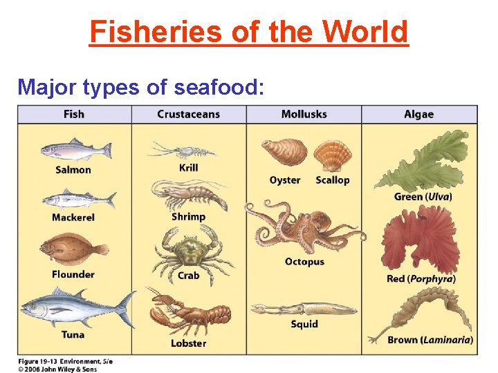 Fisheries of the World Major types of seafood: 
