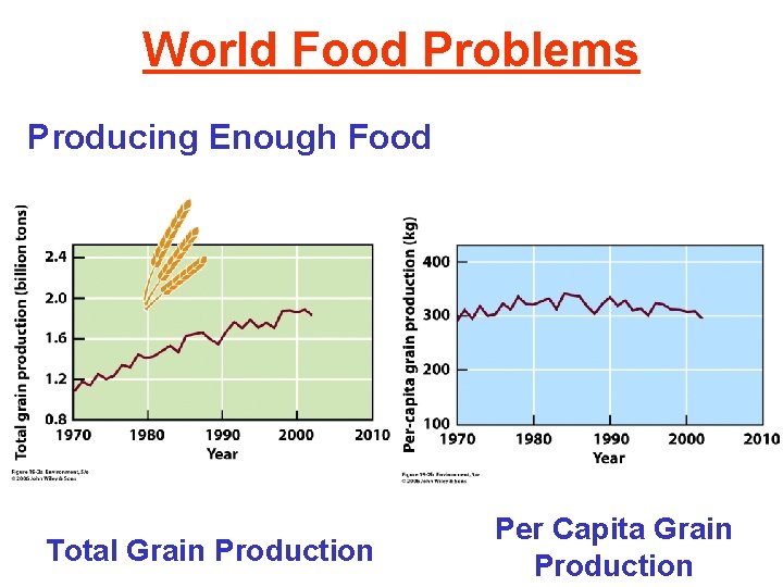 World Food Problems Producing Enough Food Total Grain Production Per Capita Grain Production 