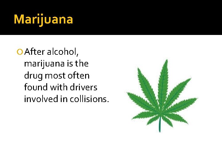 Marijuana After alcohol, marijuana is the drug most often found with drivers involved in