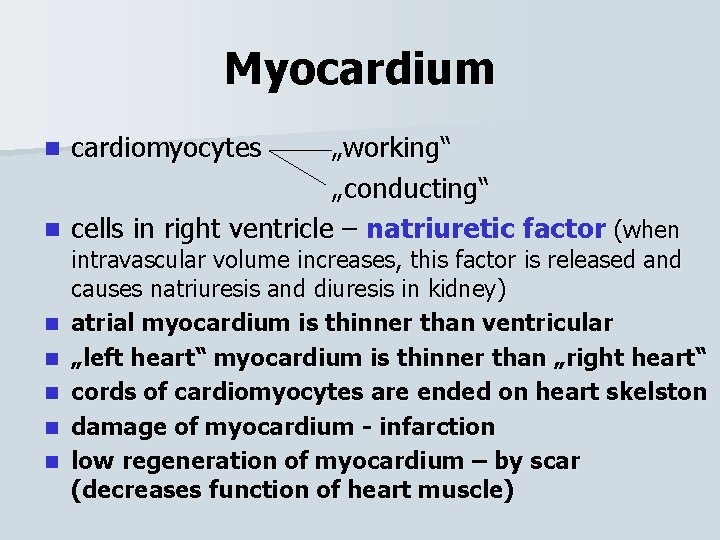 Myocardium cardiomyocytes „working“ „conducting“ n cells in right ventricle – natriuretic factor (when n