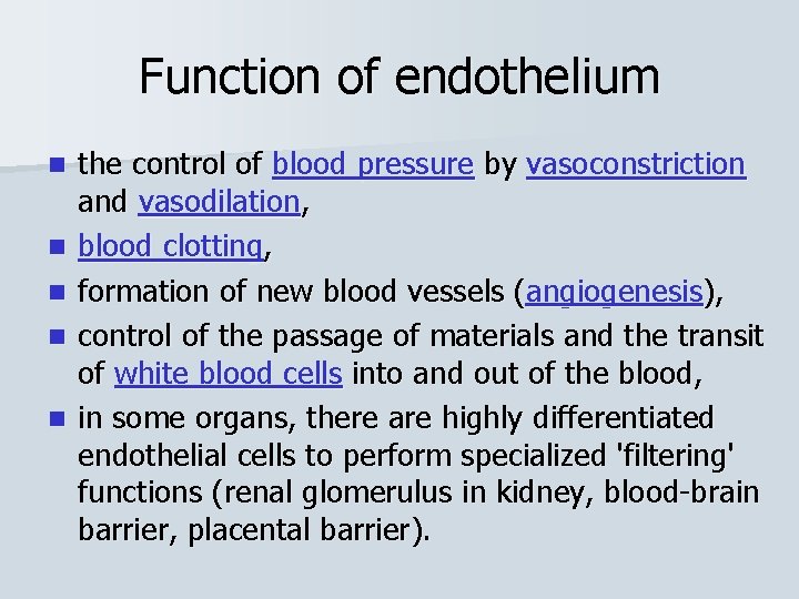 Function of endothelium n n n the control of blood pressure by vasoconstriction and