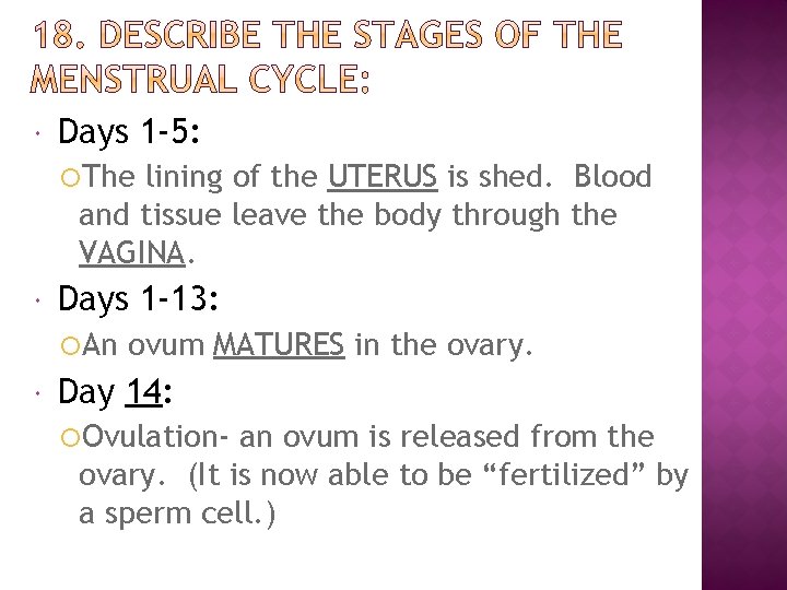  Days 1 -5: The lining of the UTERUS is shed. Blood and tissue