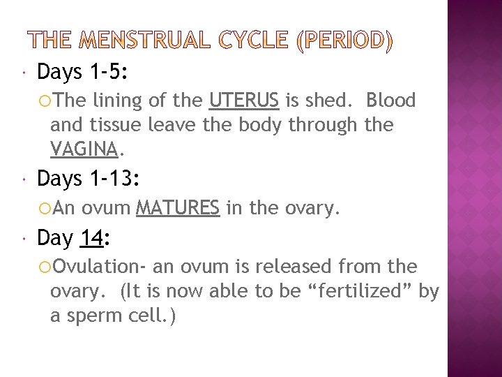  Days 1 -5: The lining of the UTERUS is shed. Blood and tissue