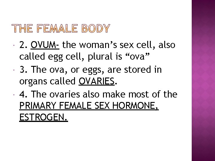  2. OVUM- the woman’s sex cell, also called egg cell, plural is “ova”