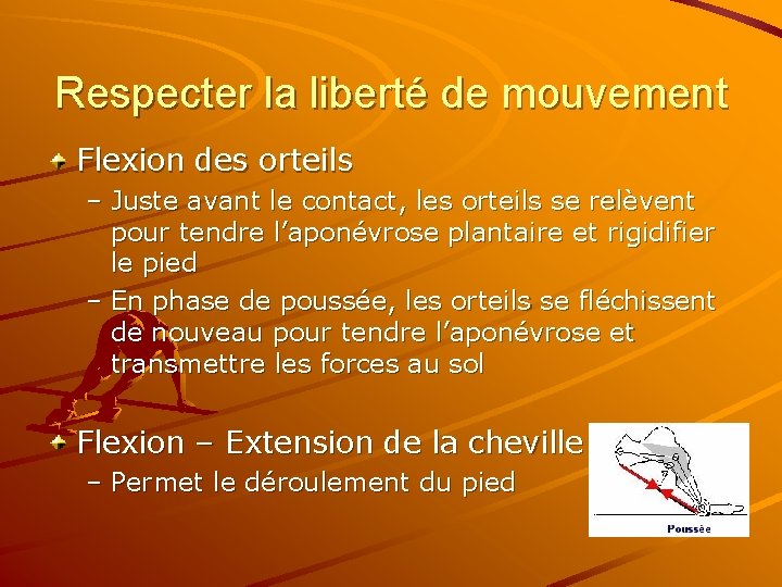 Respecter la liberté de mouvement Flexion des orteils – Juste avant le contact, les