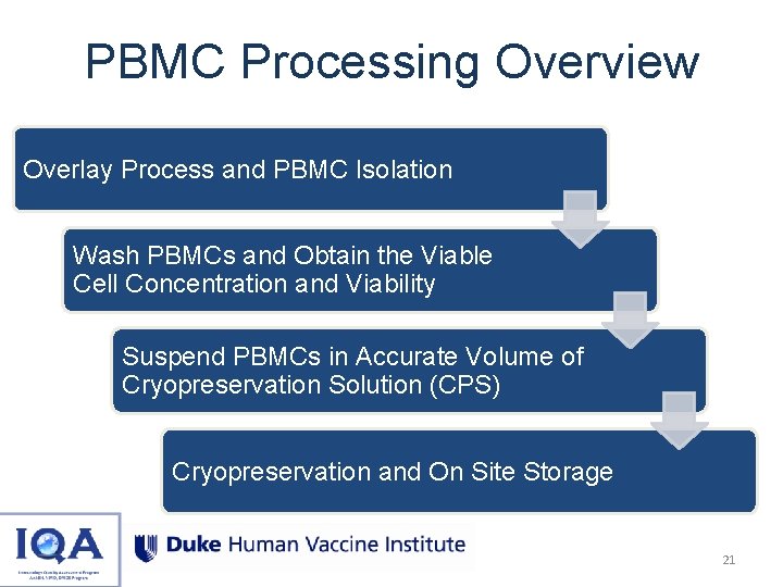 PBMC Processing Overview Overlay Process and PBMC Isolation Wash PBMCs and Obtain the Viable