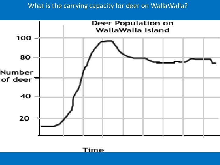 What is the carrying capacity for deer on Walla? 