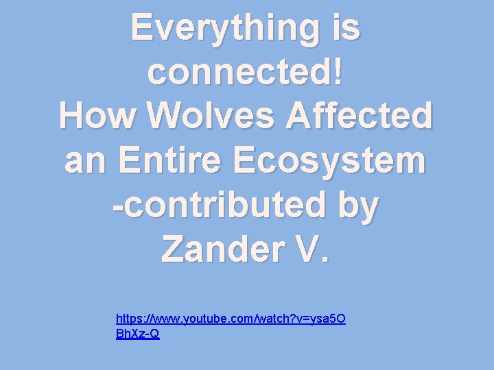 Everything is connected! How Wolves Affected an Entire Ecosystem -contributed by Zander V. https: