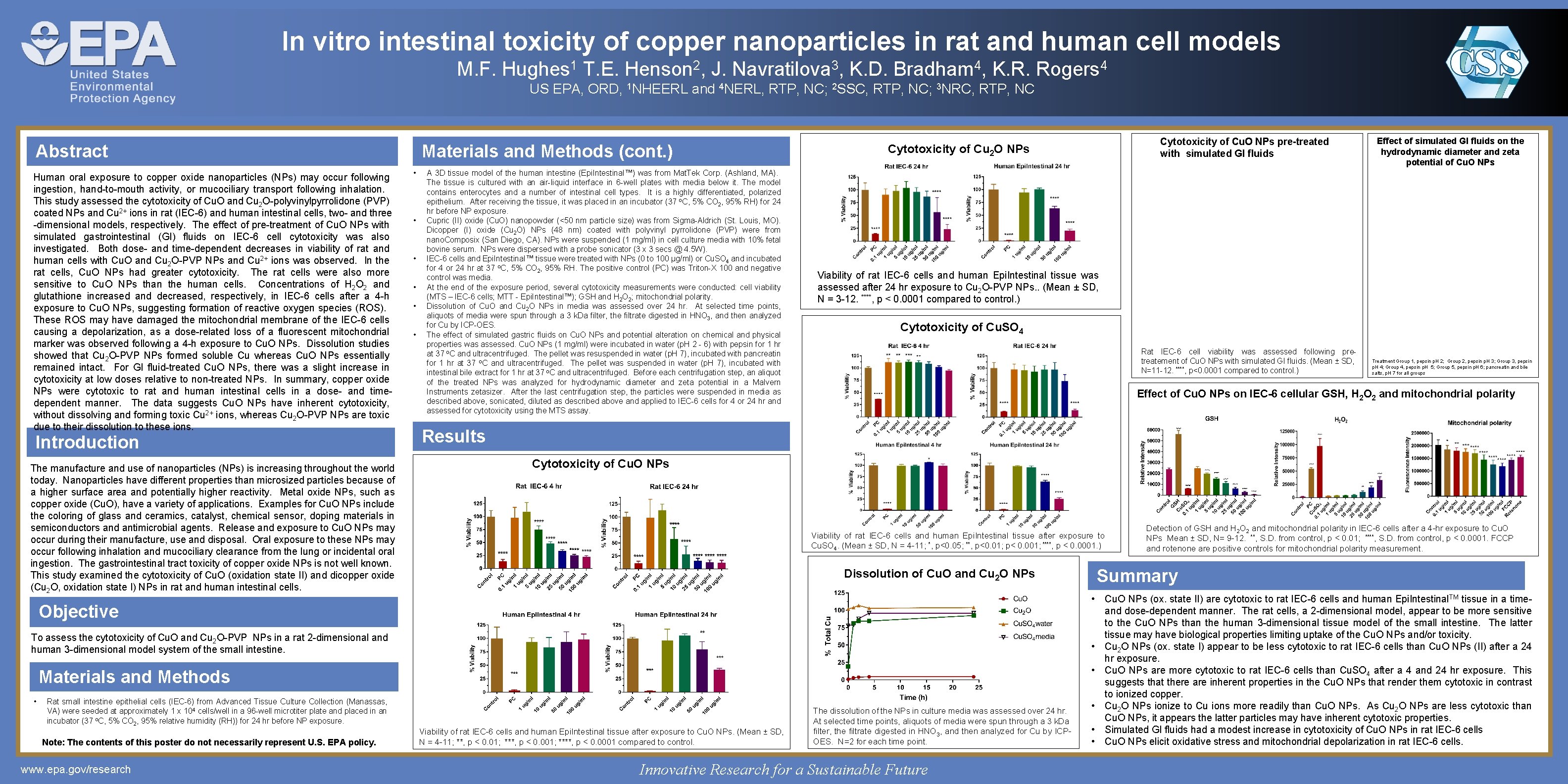 In vitro intestinal toxicity of copper nanoparticles in rat and human cell models M.