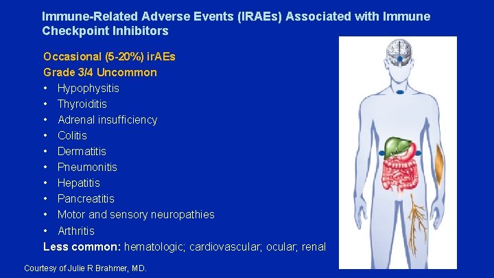 Immune-Related Adverse Events (IRAEs) Associated with Immune Checkpoint Inhibitors Occasional (5 -20%) ir. AEs