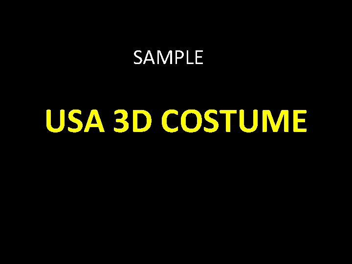 SAMPLE USA 3 D COSTUME 