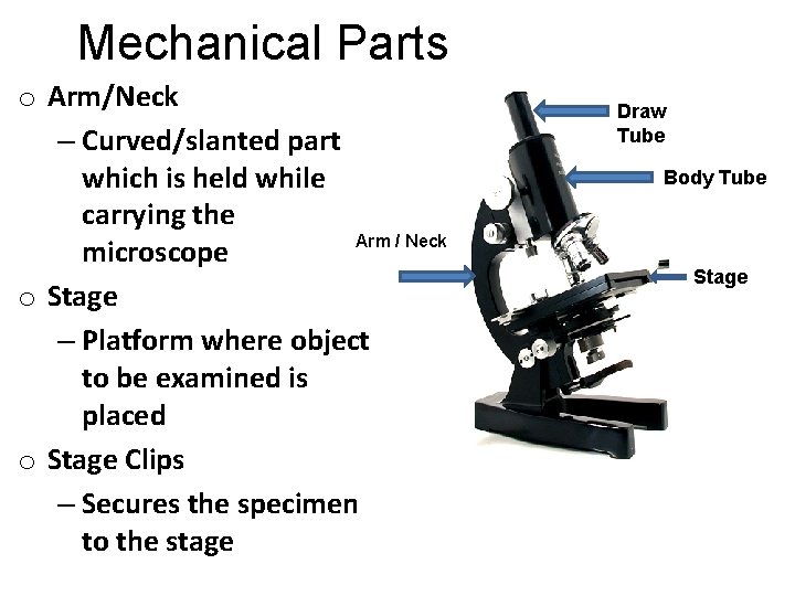 Mechanical Parts o Arm/Neck – Curved/slanted part which is held while carrying the Arm