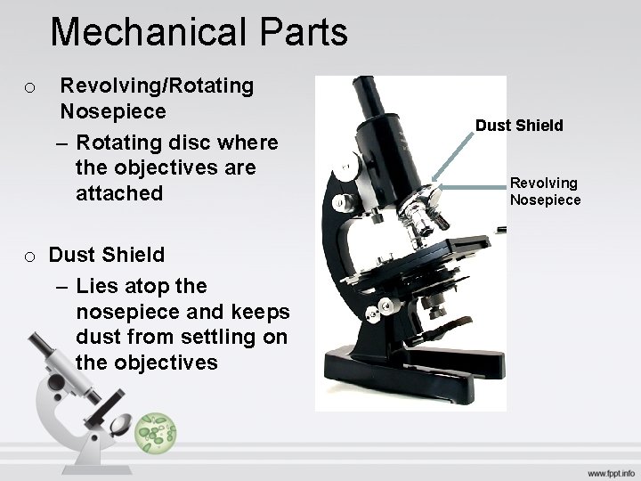 Mechanical Parts o Revolving/Rotating Nosepiece – Rotating disc where the objectives are attached o