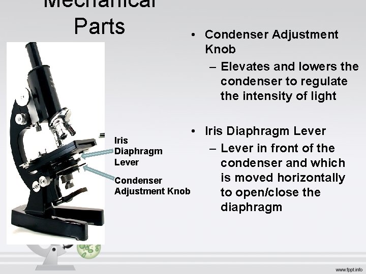 Mechanical Parts • Condenser Adjustment Knob – Elevates and lowers the condenser to regulate