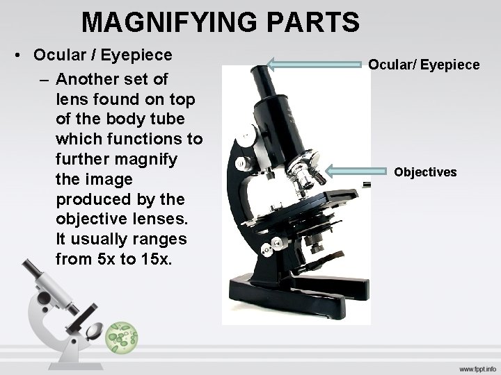 MAGNIFYING PARTS • Ocular / Eyepiece – Another set of lens found on top