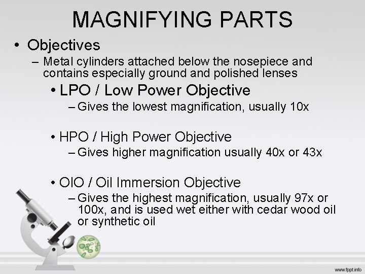 MAGNIFYING PARTS • Objectives – Metal cylinders attached below the nosepiece and contains especially