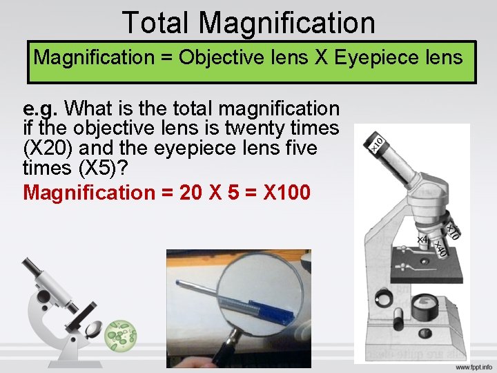 Total Magnification = Objective lens X Eyepiece lens e. g. What is the total