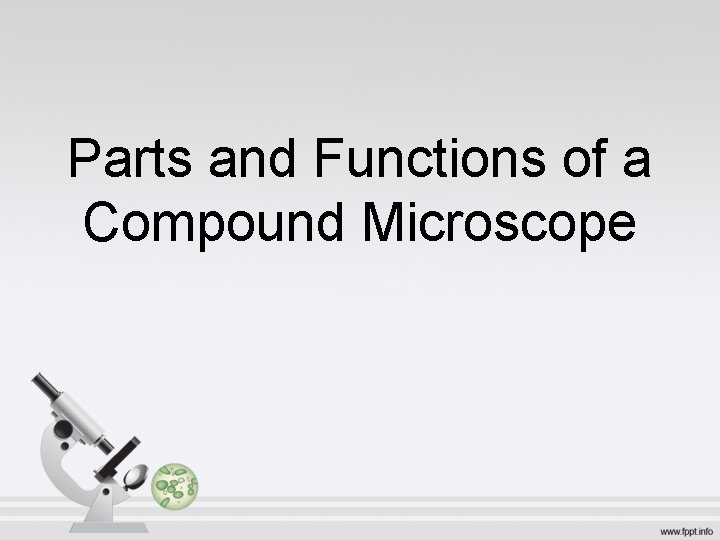 Parts and Functions of a Compound Microscope 