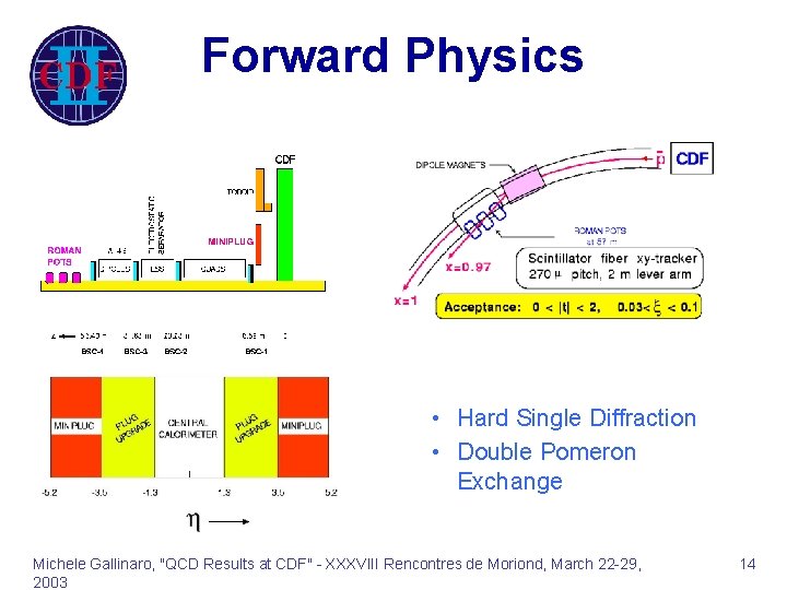 Forward Physics • Hard Single Diffraction • Double Pomeron Exchange Michele Gallinaro, "QCD Results