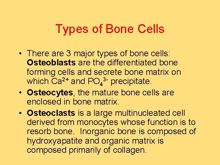 Types of Bone Cells • There are 3 major types of bone cells: Osteoblasts