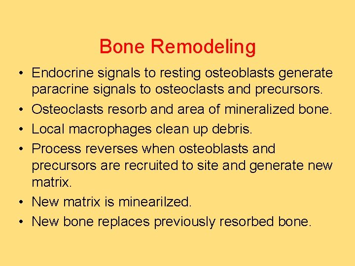 Bone Remodeling • Endocrine signals to resting osteoblasts generate paracrine signals to osteoclasts and