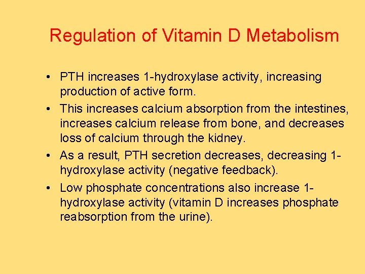 Regulation of Vitamin D Metabolism • PTH increases 1 -hydroxylase activity, increasing production of