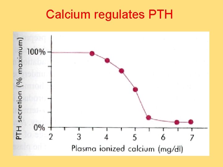 Calcium regulates PTH 