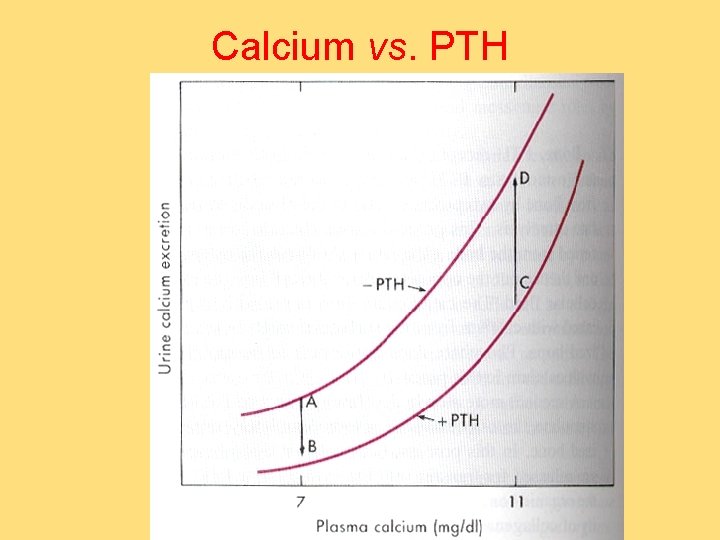 Calcium vs. PTH 