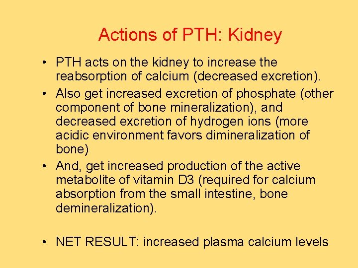 Actions of PTH: Kidney • PTH acts on the kidney to increase the reabsorption