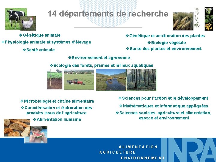 14 départements de recherche v. Génétique animale v. Génétique et amélioration des plantes v.