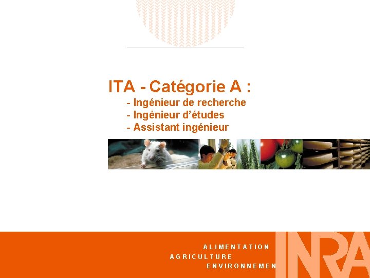 ITA - Catégorie A : - Ingénieur de recherche - Ingénieur d’études - Assistant