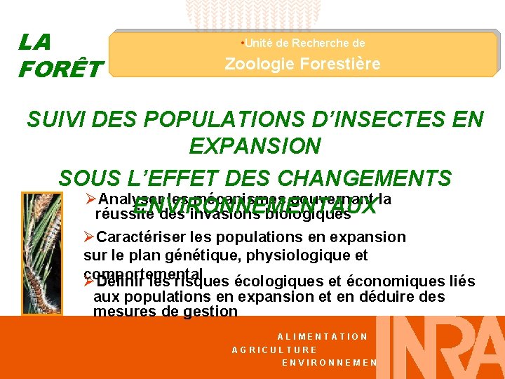 LA FORÊT • Unité de Recherche de Zoologie Forestière SUIVI DES POPULATIONS D’INSECTES EN