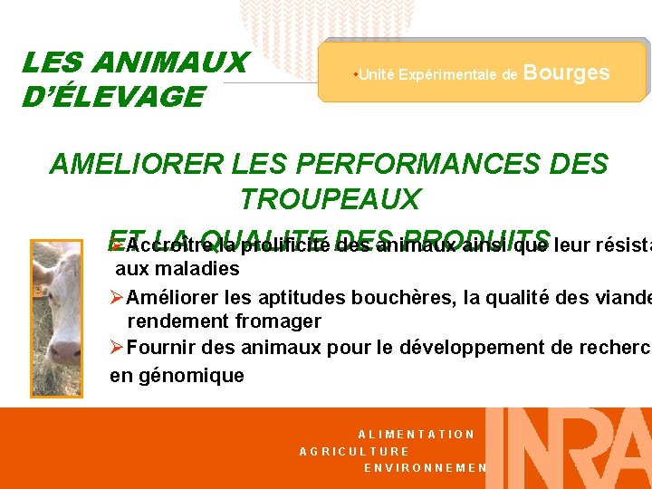 LES ANIMAUX D’ÉLEVAGE • Unité Expérimentale de Bourges AMELIORER LES PERFORMANCES DES TROUPEAUX ET