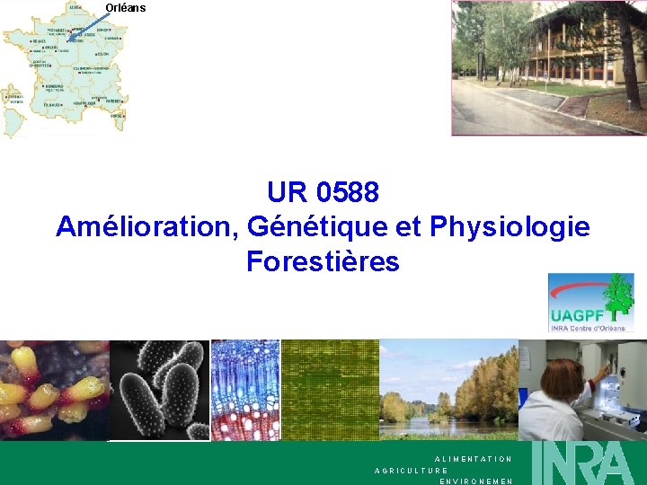 Orléans UR 0588 Amélioration, Génétique et Physiologie Forestières ALIMENTATION AGRICULTURE ENVIRONEMEN 