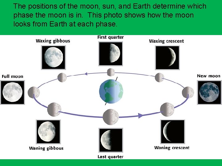 The positions of the moon, sun, and Earth determine which phase the moon is